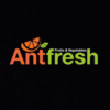 ANTFRESH