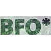 BIG FACELESS ORGANIZATION (BFO)