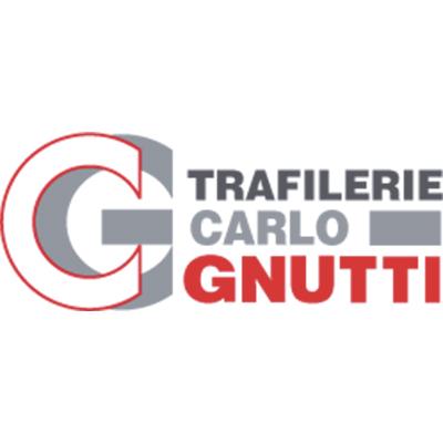 TRAFILERIE CARLO GNUTTI - S.P.A.