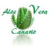 ALOE VERA CANARIO