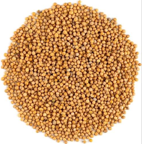 Mustard seeds