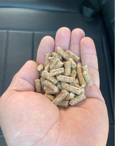 Wood Pellets EN Plus A1 